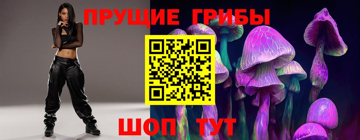 Воронеж  Псилоцибиновые грибы MAGIC MUSHROOMS  Вход с VPN 